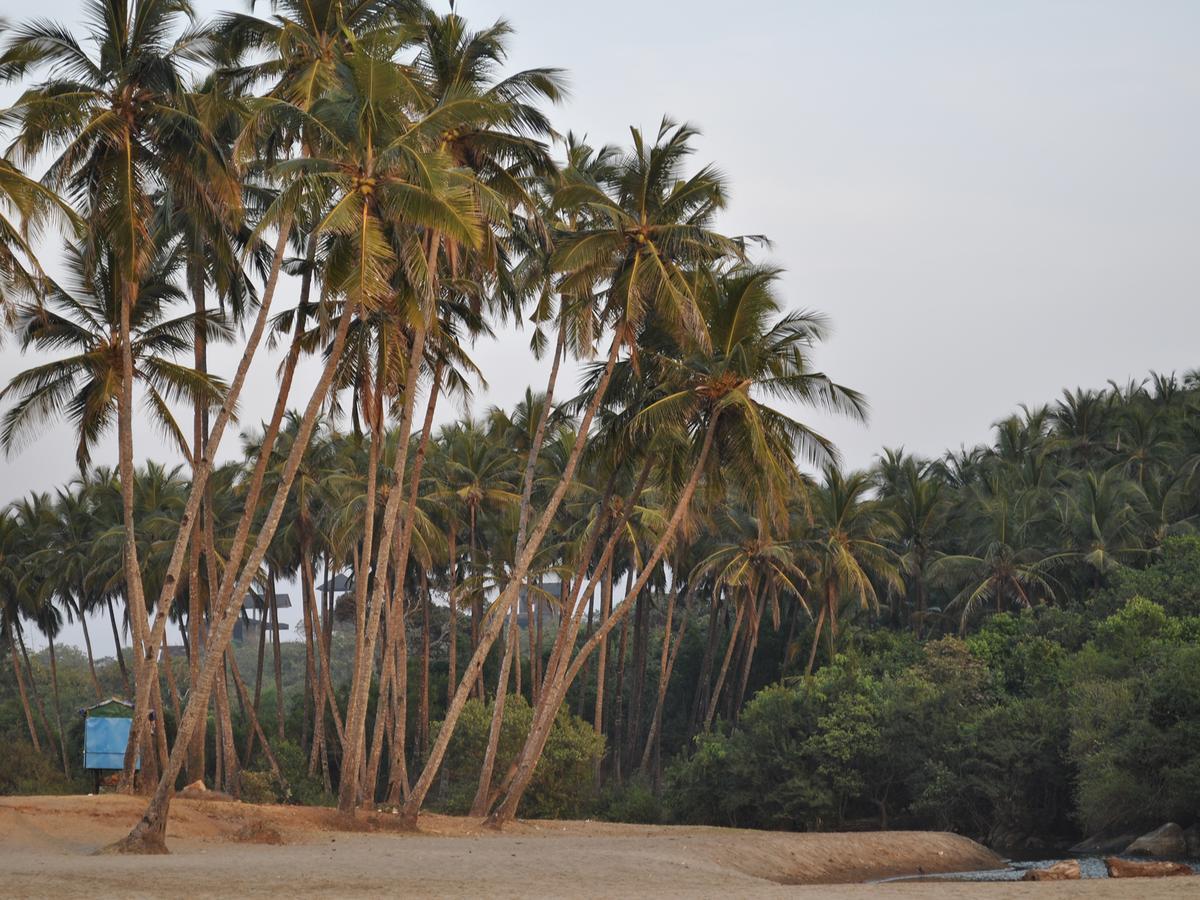 Tutti Garden Bungalows Hotel Mormugao Zewnętrze zdjęcie